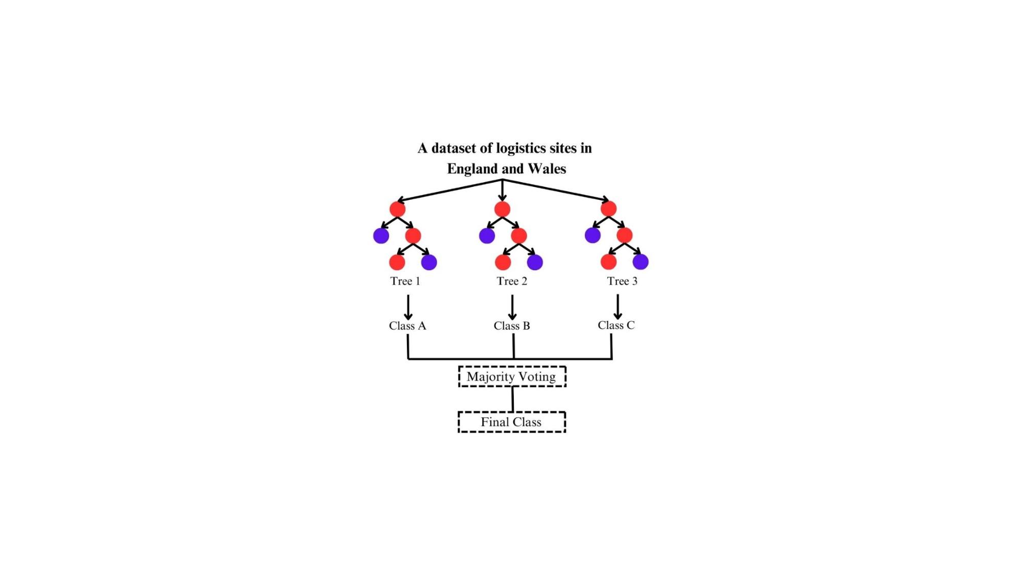 A diagram of a diagram of a company

Description automatically generated